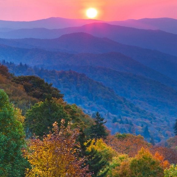 Meet the posher - Picture 1 of 1